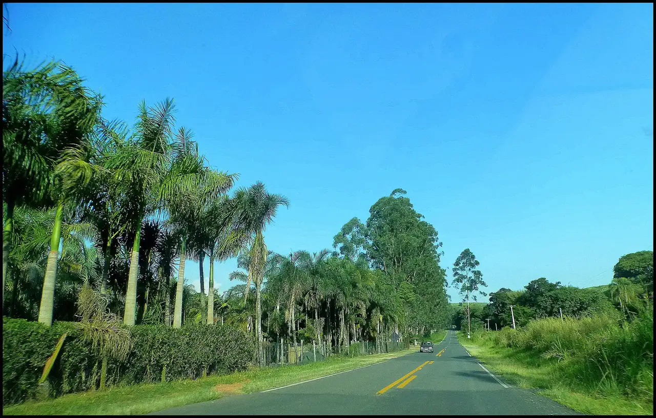 Estrada em Joaquim Egídio