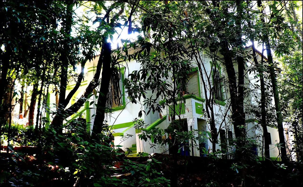 Bosque dos Jequitibás