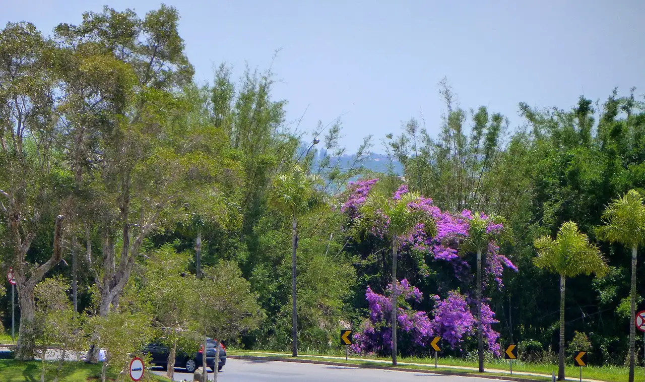 Swiss Park, Campinas
